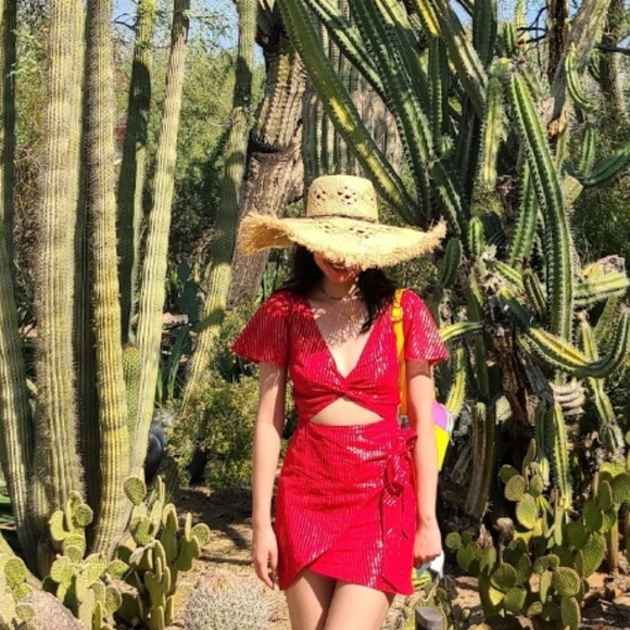 Majorelle Evelyn red silver cutout mini dress XS - Picture 5 of 5